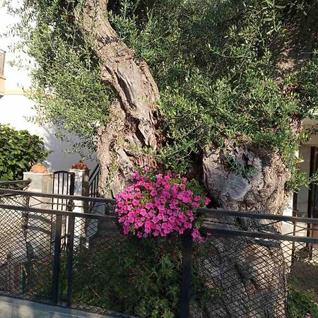 Vila Aegean Balcony Skála Kallirákhis Exteriér fotografie