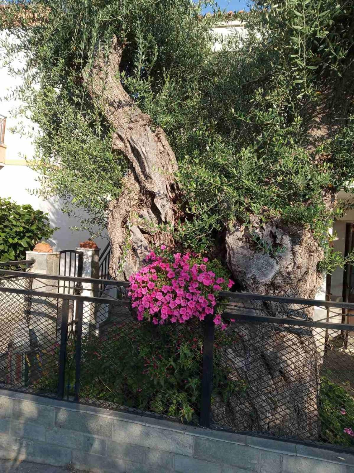 Vila Aegean Balcony Skála Kallirákhis Exteriér fotografie